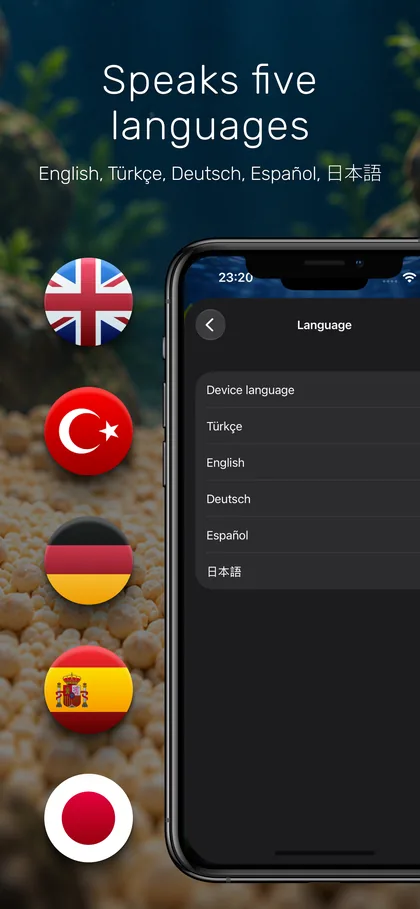 Speaks five languages — English, Türkçe, Deutsch, Español, 日本語