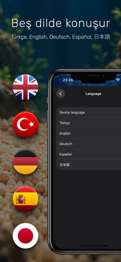 Beş dilde konuşur — Türkçe, English, Deutsch, Español, 日本語
